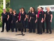 Singing-in-the-Spring-Sunshine-004